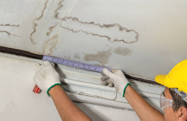 Reliable Water Damage contractor in Matheson, CO by Water Damage Irwin